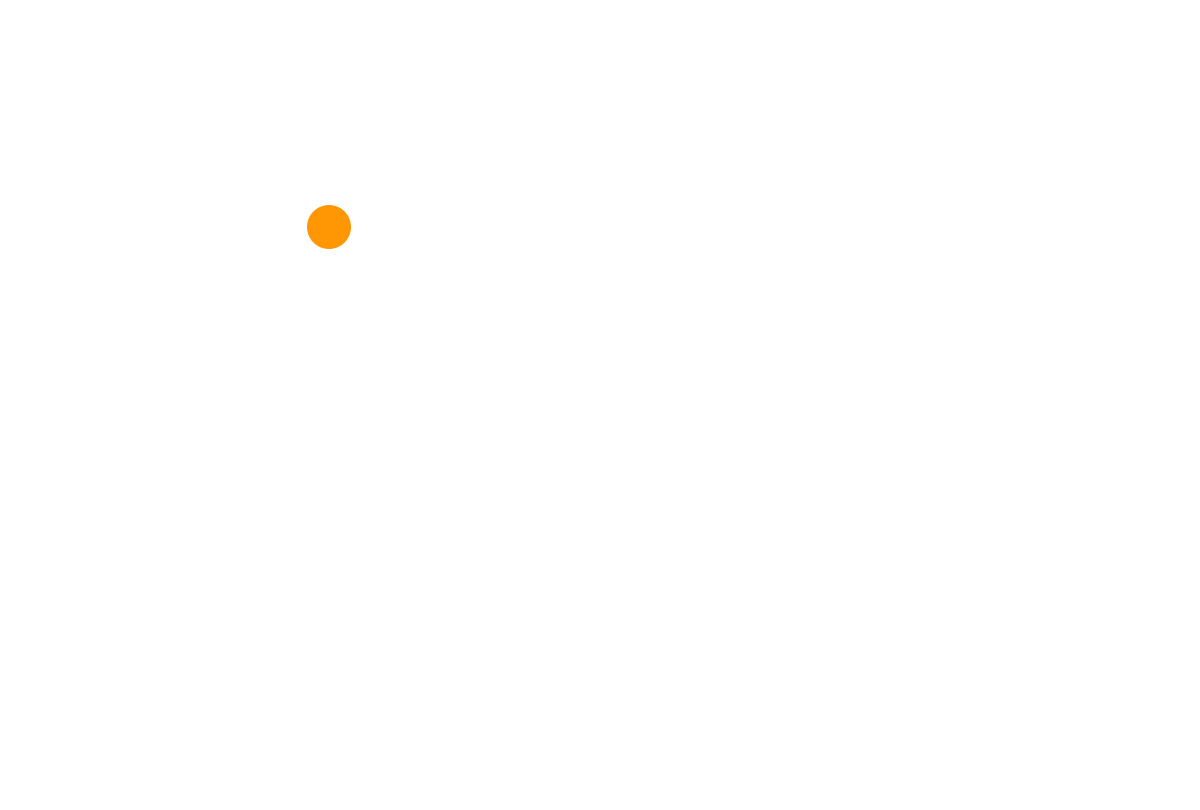 google maps Hotel San Carlo Zadina