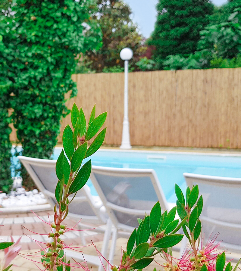 Hotel San Carlo Zadina