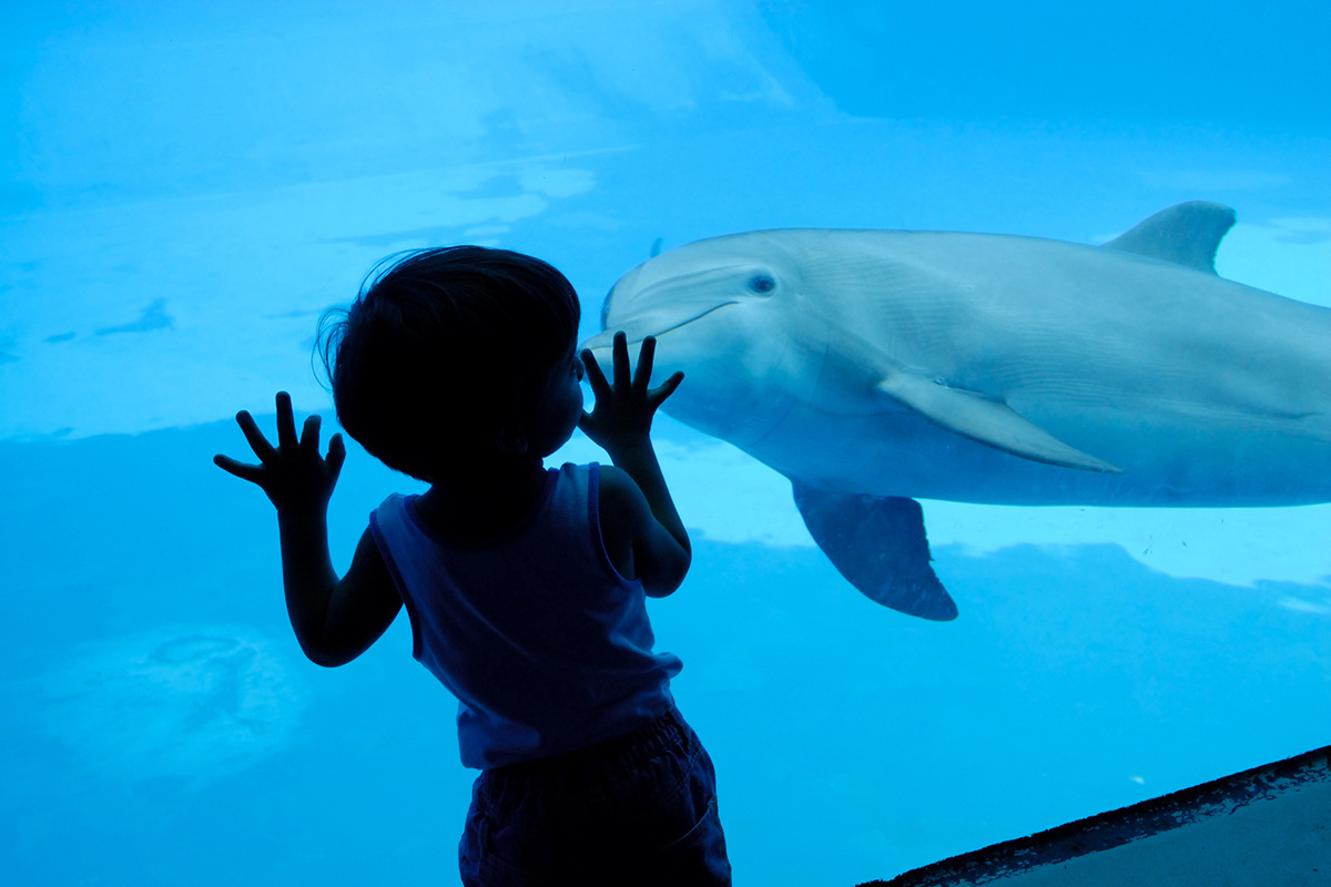 Hotel San Carlo Zadina